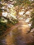 image-05.jpg