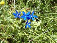 image05.jpg