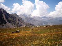 image11.jpg