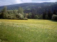 img011.jpg