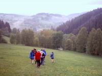 img013.jpg